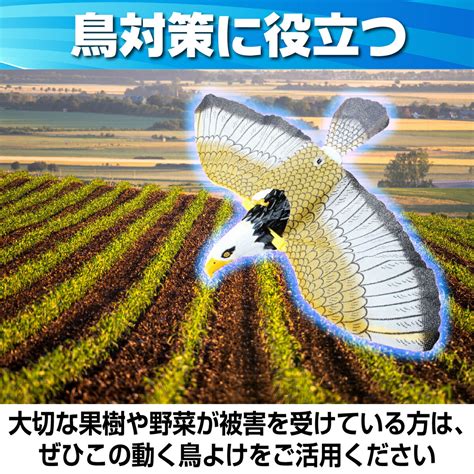 鳥忌|鳥害対策･害鳥駆除の方法まとめ。鳥よけ・防鳥製品。